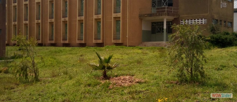 DTU student Dormitary